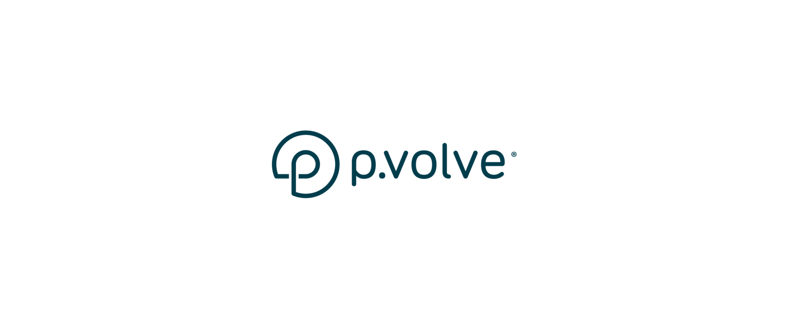 P.Volve Review 2024