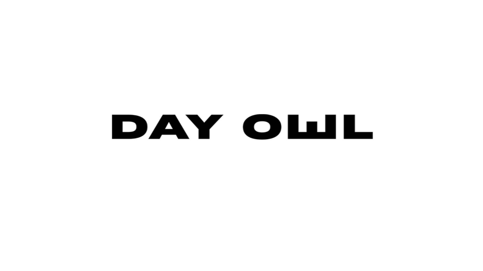 Day Owl Review 2024